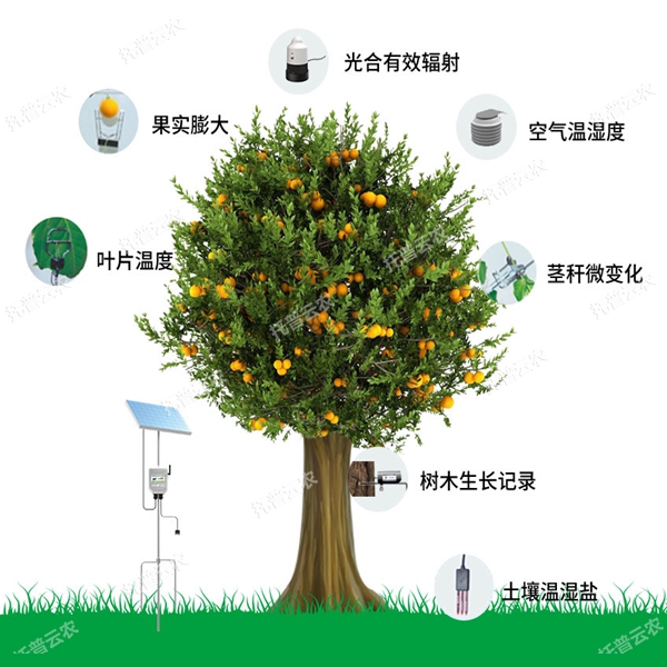 植物生理生態(tài)監(jiān)測(cè)系統(tǒng)